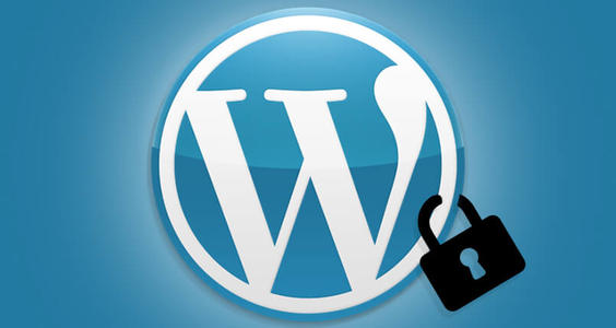 web开发人员给出提示，用于保护自己已有的WordPress网站