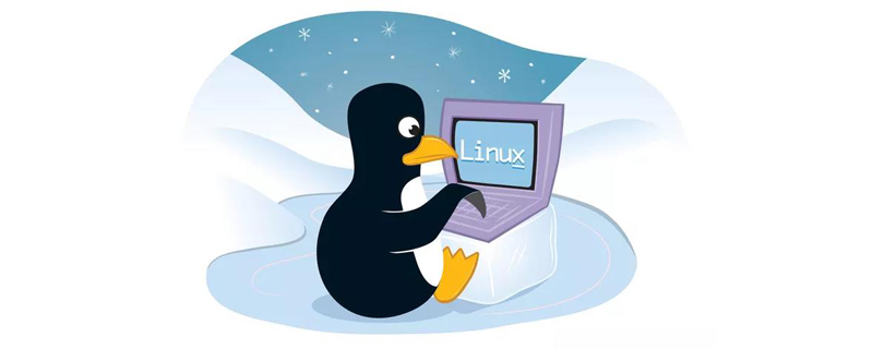 linux中退出vi编辑器，按下esc没反应怎么办？